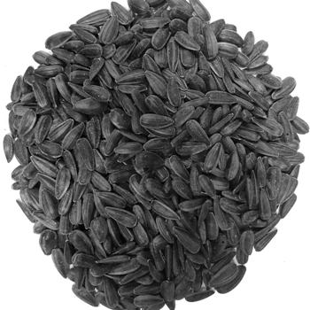 Sunflower Seeds